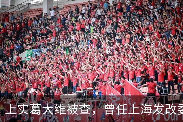 上实葛大维被查，曾任上海发改委副主任，同集团原总裁刚判死缓