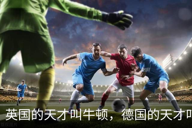 英国的天才叫牛顿，德国的天才叫爱因斯坦，那中国的天才叫什么？