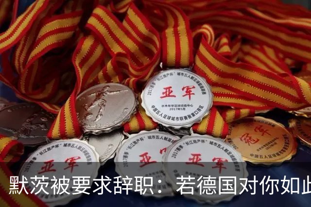 默茨被要求辞职：若德国对你如此宝贵，去找德总统解除你的职务
